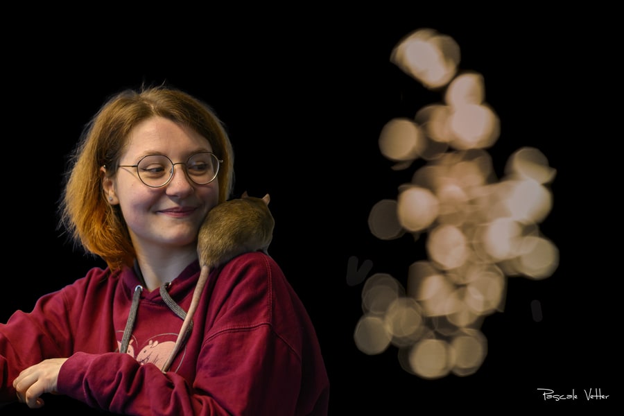 Galerie photos rongeurs obernai