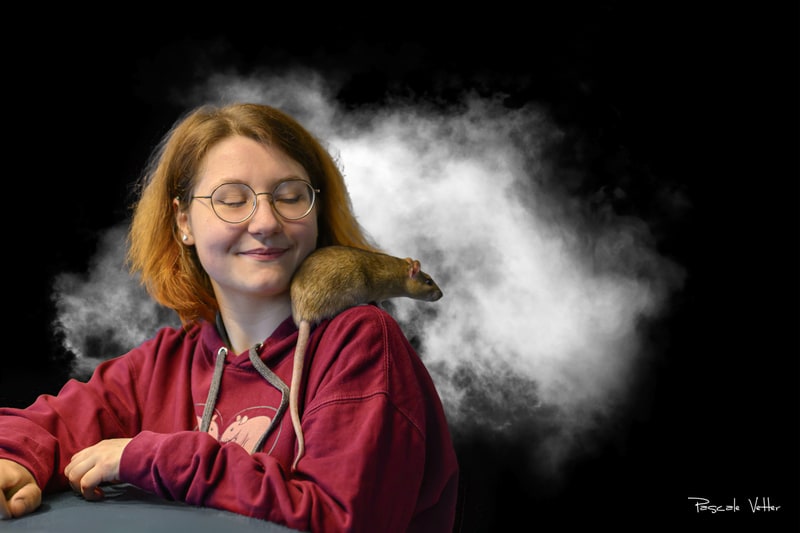 Galerie photos rongeurs alsace