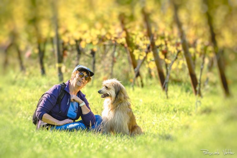 séance photo famille avec animal Alsace