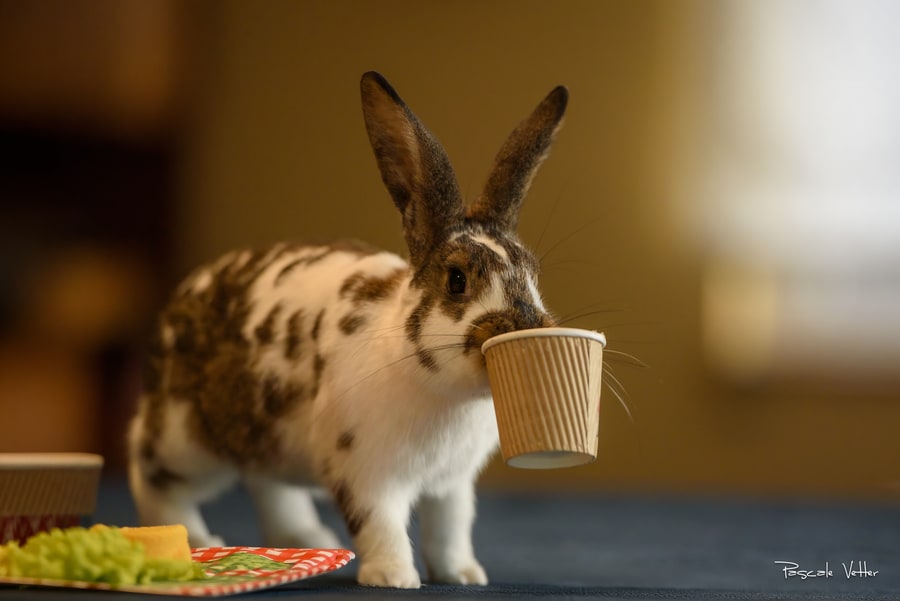 Séance photo avec un rongeur