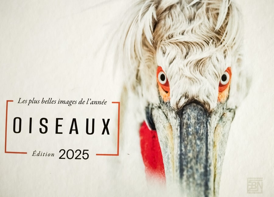 Pascale Vetter - séance-photo-animalier-extérieur-alsace