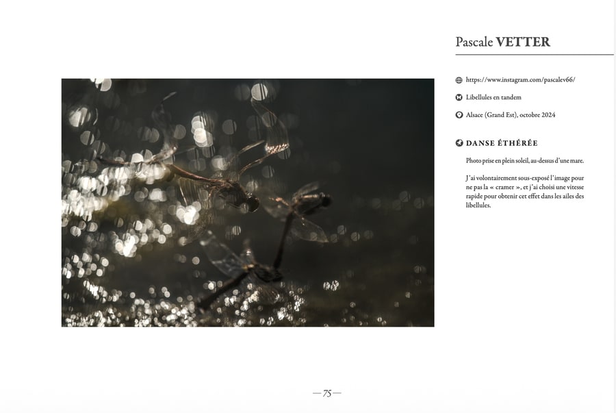 Pascale Vetter - séance-photo-animalier-extérieur-alsace