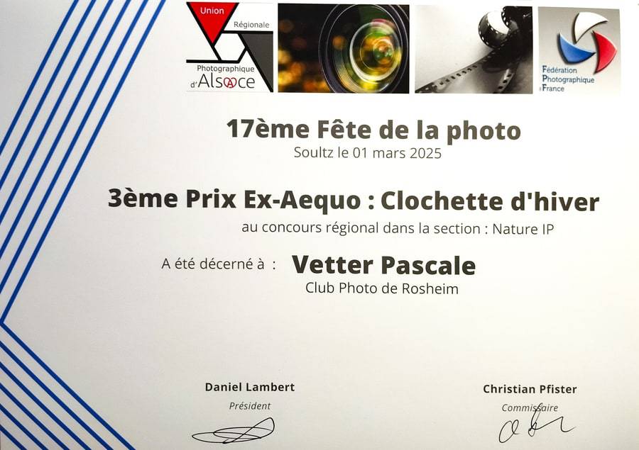 Pascale Vetter - séance-photo-animalier-extérieur-alsace