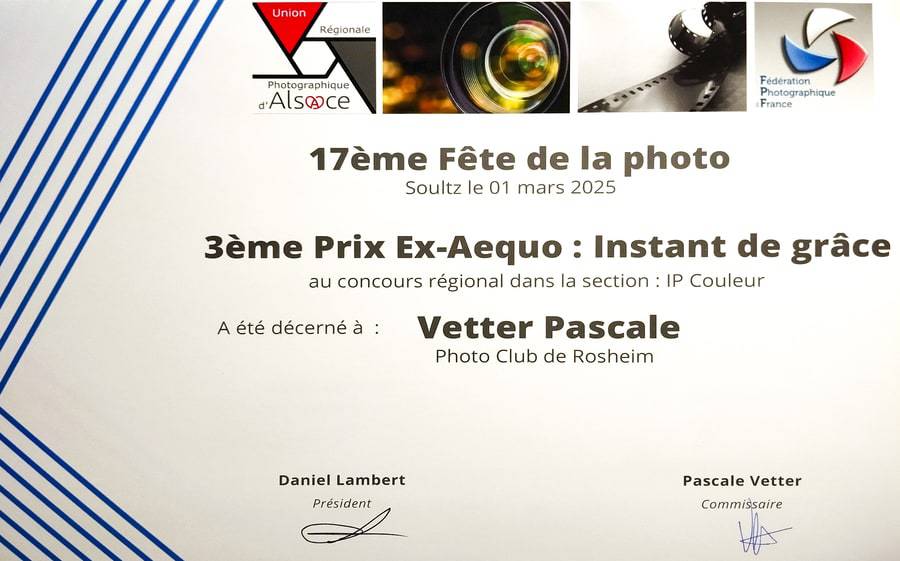 Pascale Vetter - séance-photo-animalier-extérieur-alsace