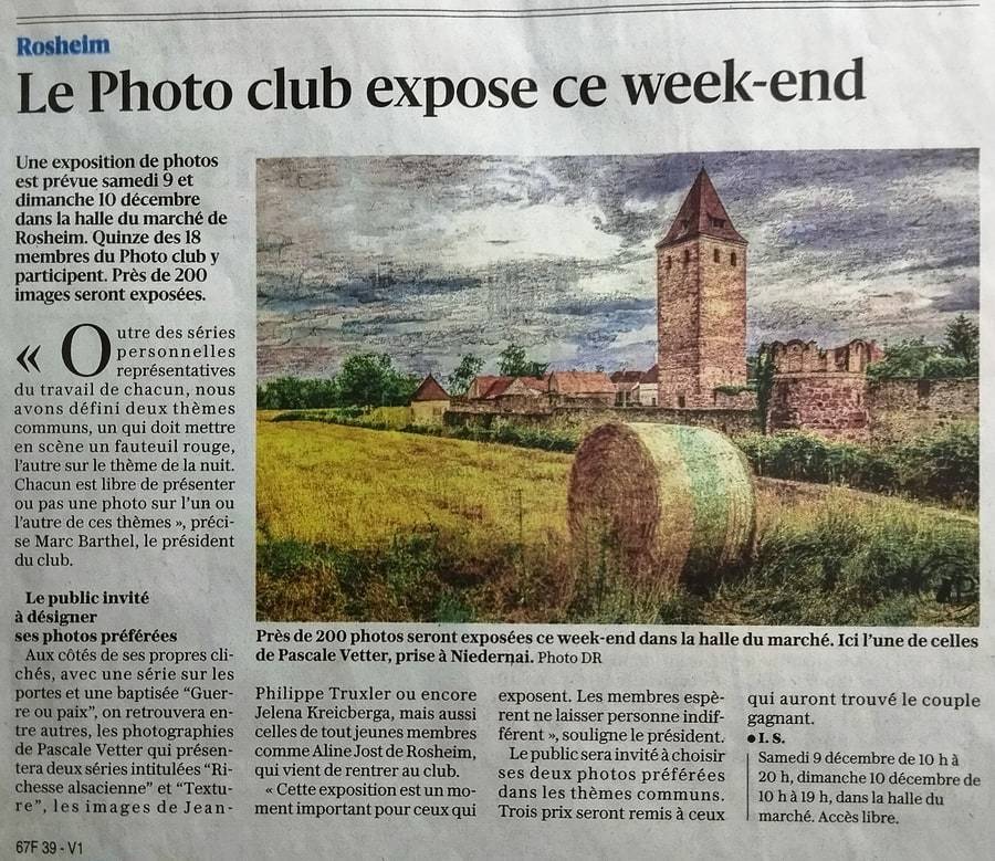 Pascale Vetter - séance-photo-animalier-extérieur-alsace