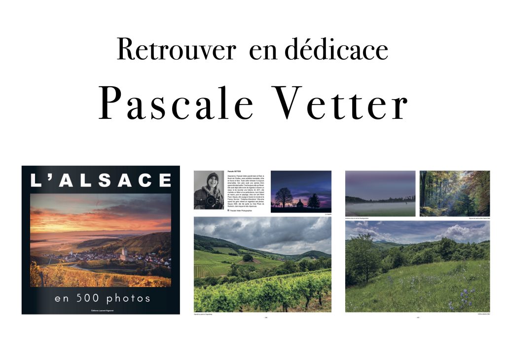 Pascale Vetter - séance-photo-animalier-extérieur-alsace