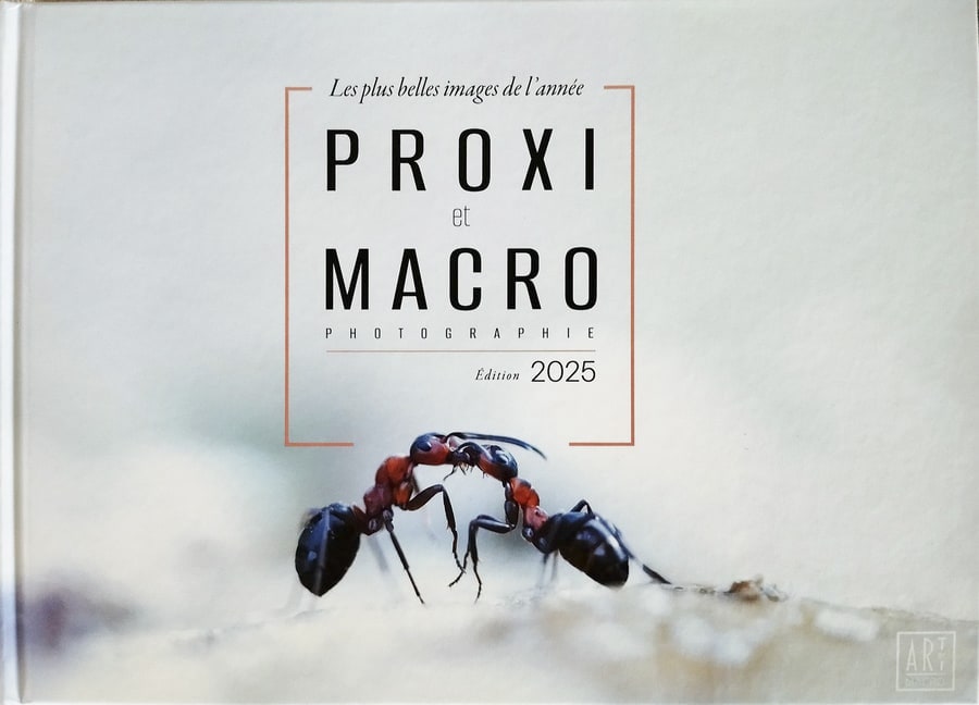 Pascale Vetter - séance-photo-animalier-extérieur-alsace