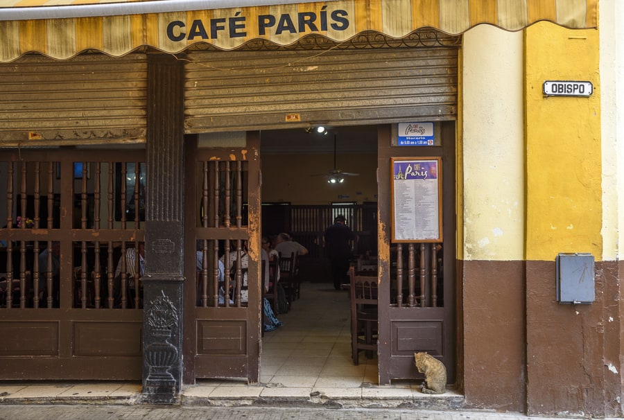 Chats et chiens à Cuba : mon reportage de photographe en voyage