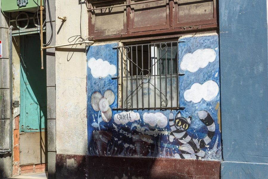 Chats et chiens à Cuba : mon reportage de photographe en voyage