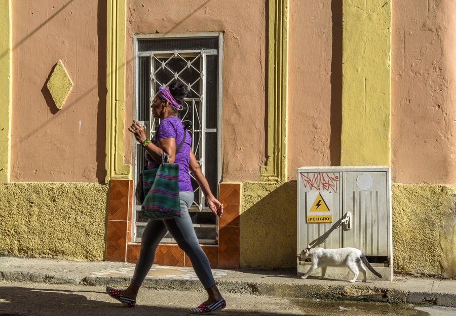 Chats et chiens à Cuba : mon reportage de photographe en voyage
