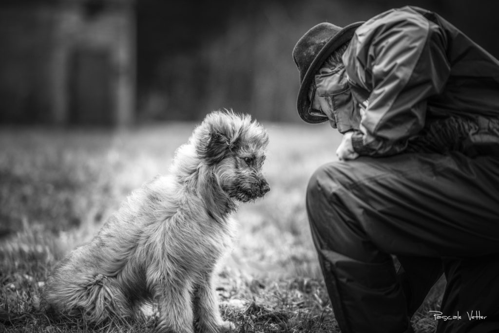 Cavage-Pascale-Vetter-Photographie