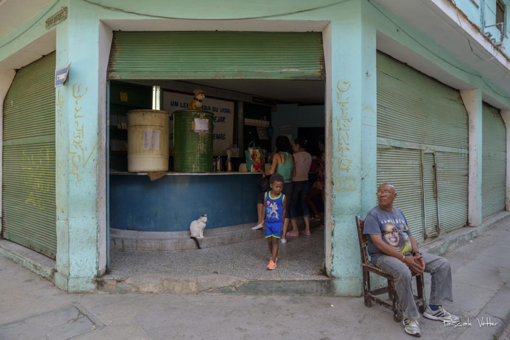 chien-et-chat-cuba-pascalevetter