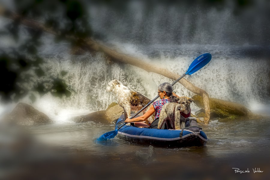 Virée en kayak avec son chien