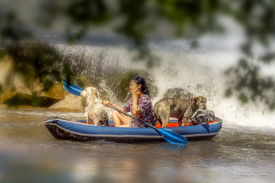 Virée en kayak avec son chien