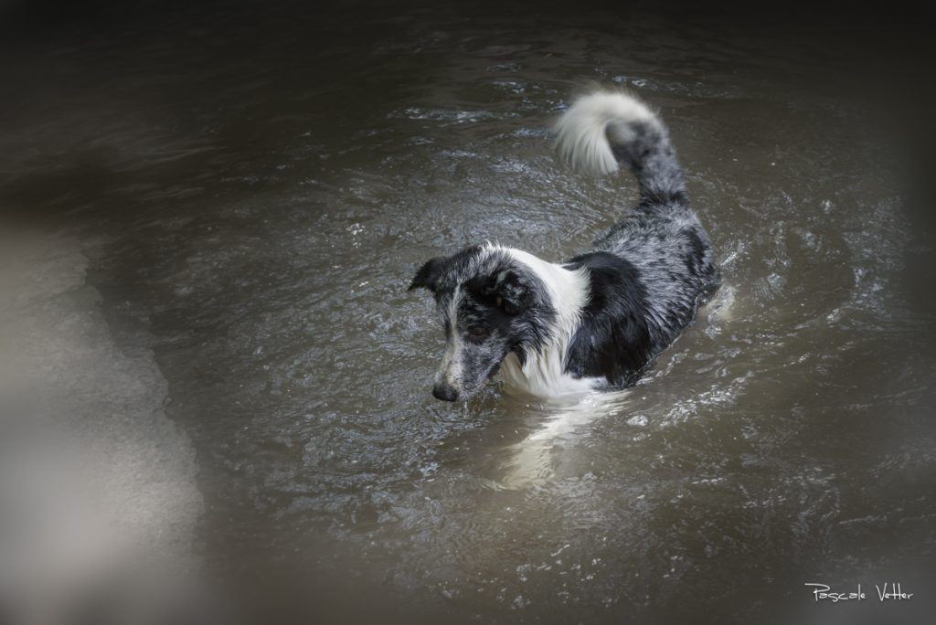 Pascale Vetter Photographie