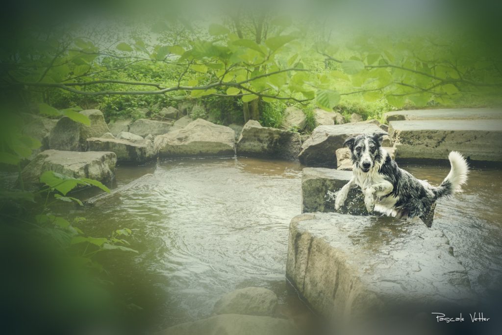Pascale Vetter Photographie
