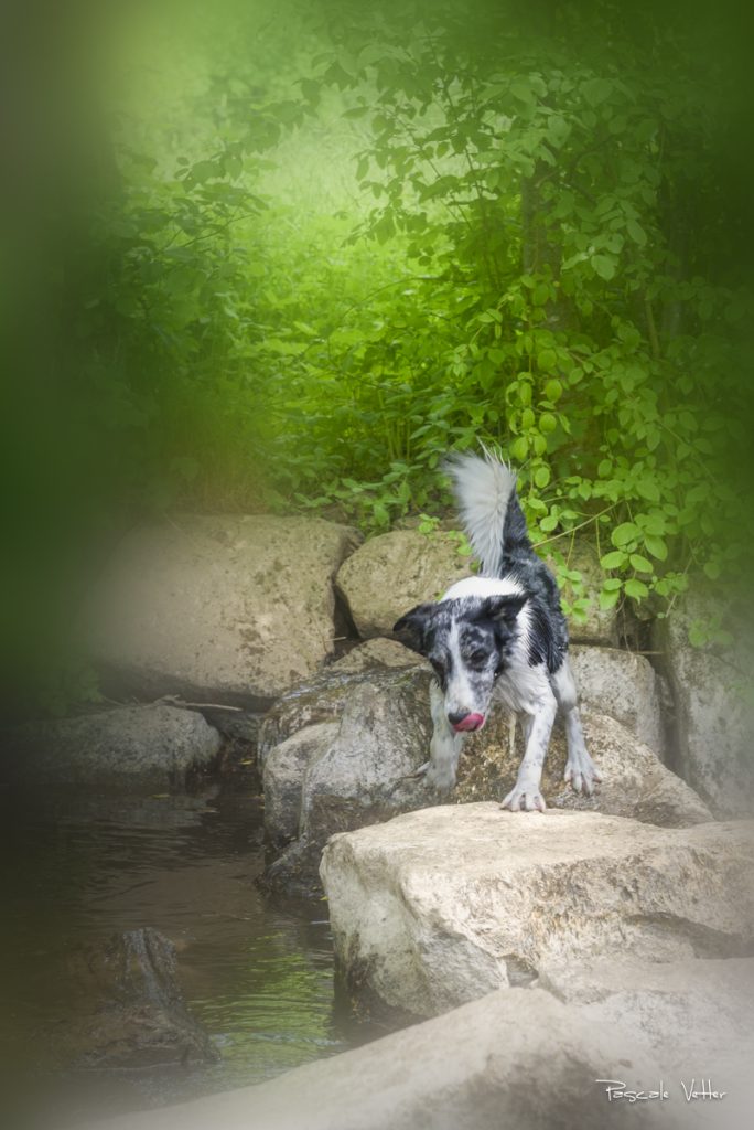 Pascale Vetter Photographie